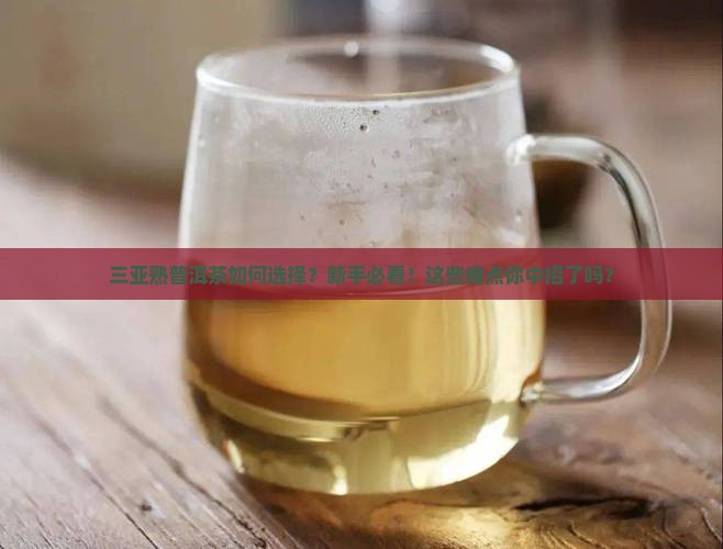 三亚熟普洱茶如何选择