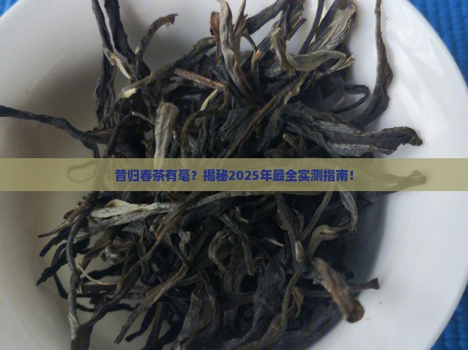 昔归春茶有毫吗