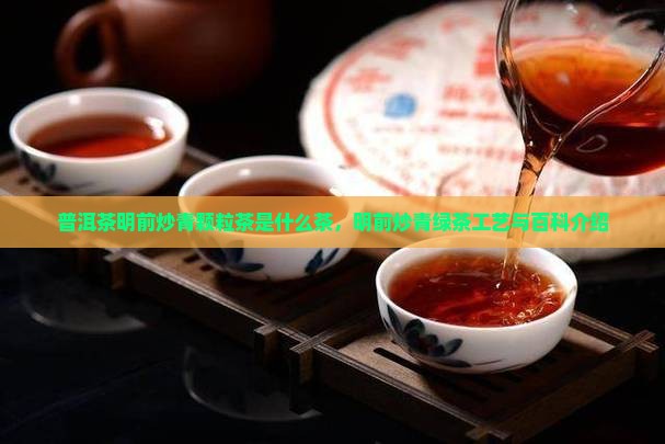 普洱茶明前炒青颗粒茶