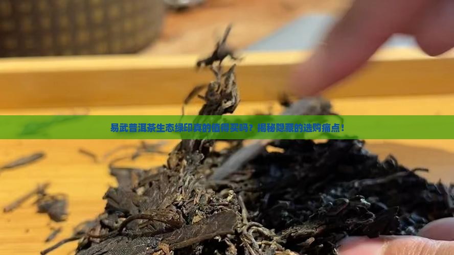 易武普洱茶生态绿印