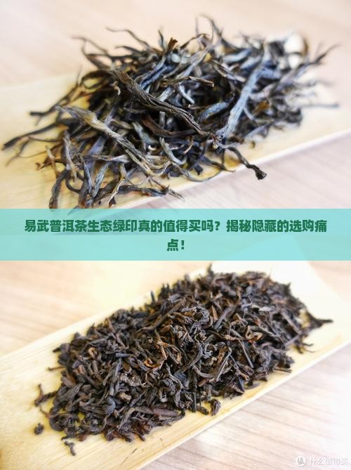 易武普洱茶生态绿印