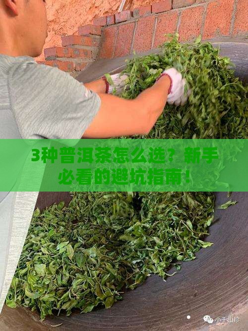 普洱茶哪一种更好一些呢