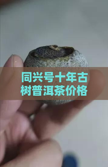 同兴号十年古树普洱茶价钱