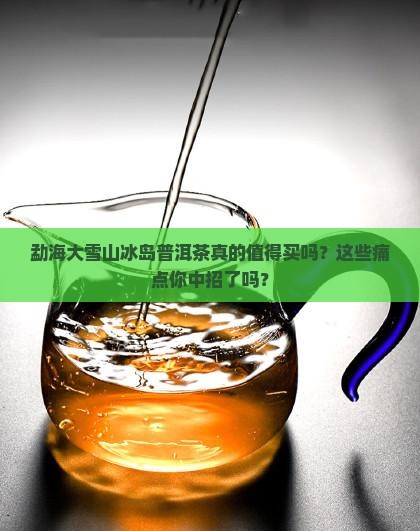 勐海大雪山冰岛普洱茶