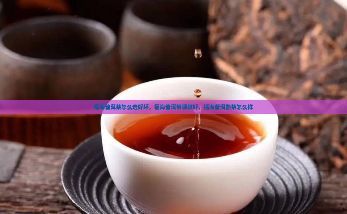 福海普洱茶怎么选好坏
