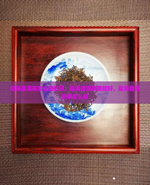 福海普洱茶怎么选好坏