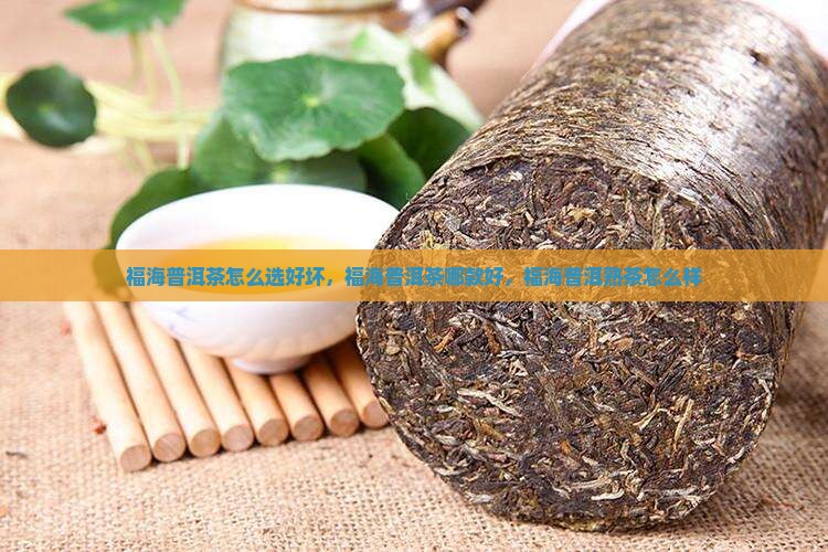 福海普洱茶怎么选好坏