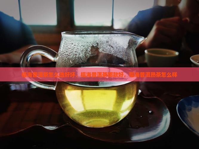 福海普洱茶怎么选好坏