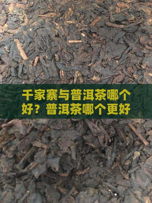 千家寨与普洱茶哪个好