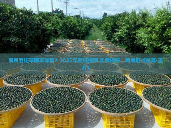 南京老班章哪家靠谱