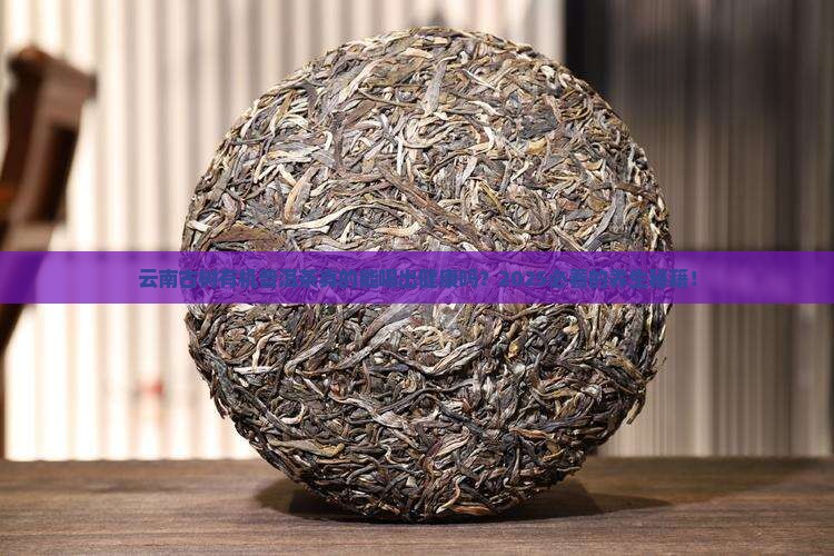云南古树有机普洱茶功效