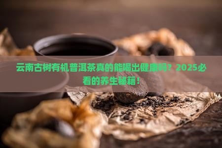 云南古树有机普洱茶功效