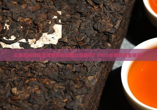 云南古树有机普洱茶功效