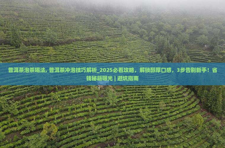 普洱茶泡茶喝法