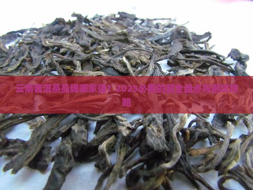 云南有名的普洱茶品牌有哪些
