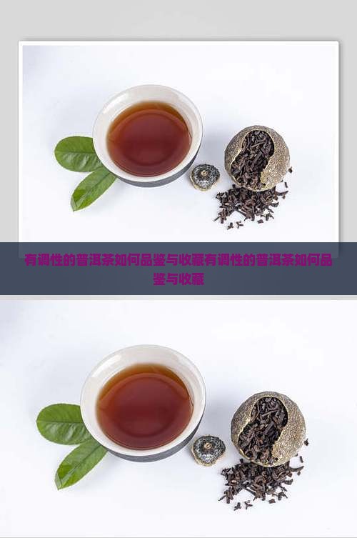 有调性的普洱茶