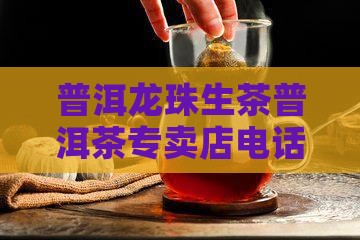 龙珠普洱茶专卖店电话