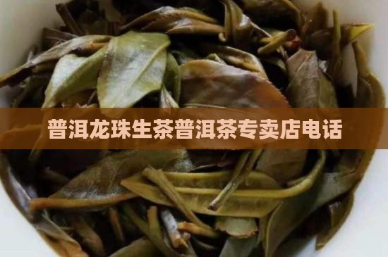 龙珠普洱茶专卖店电话