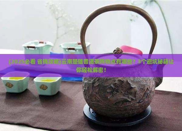云南楚雄普洱茶购物点