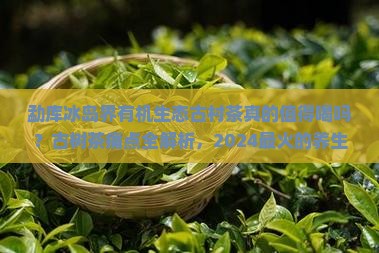 勐库冰岛界有机生态古村茶
