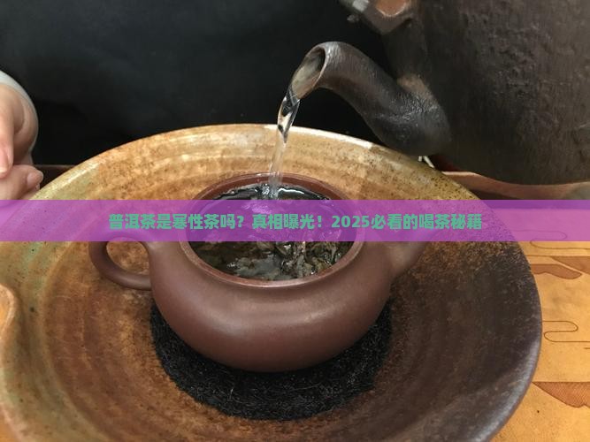 普洱茶是否属寒性茶的