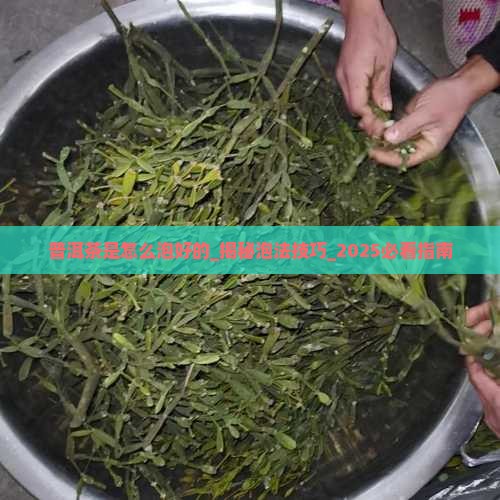 普洱茶是怎么泡好的