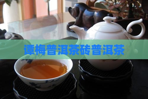 7561谭梅茶砖