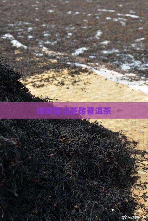 7561谭梅茶砖