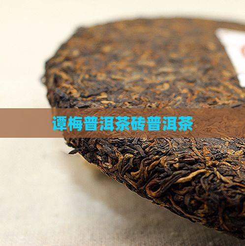 7561谭梅茶砖