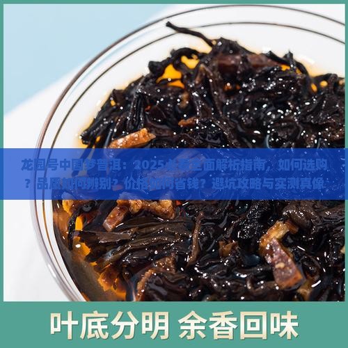 龙园号中国梦普洱