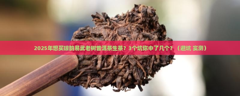 琼韵易武老树普洱茶生茶价格