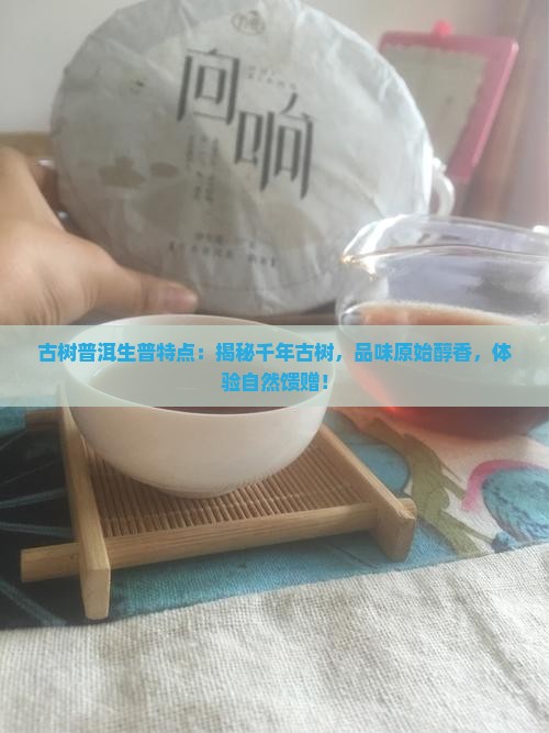 古树普洱生普特点