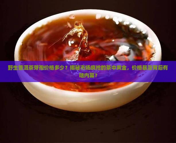 野生普洱茶芽孢价格