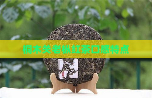 桐木关老枞红茶口感特点