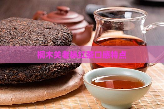 桐木关老枞红茶口感特点