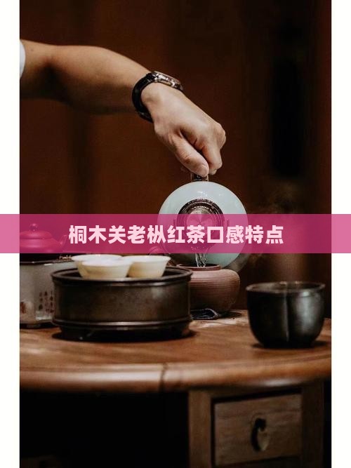 桐木关老枞红茶口感特点