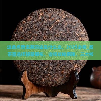 适合煮普洱茶的壶是什么壶
