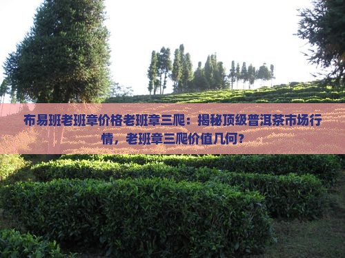 布易班老班章价格老班章三爬