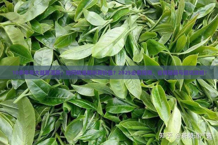 10多年年大益普洱茶