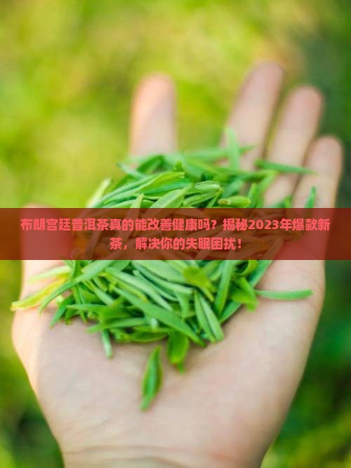 布朗宫廷普洱茶