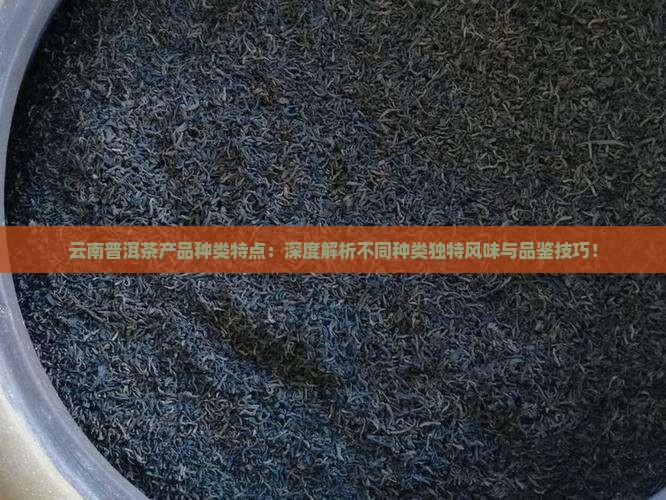 云南普洱茶产品种类特点