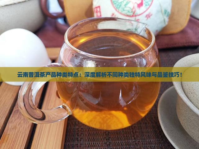 云南普洱茶产品种类特点