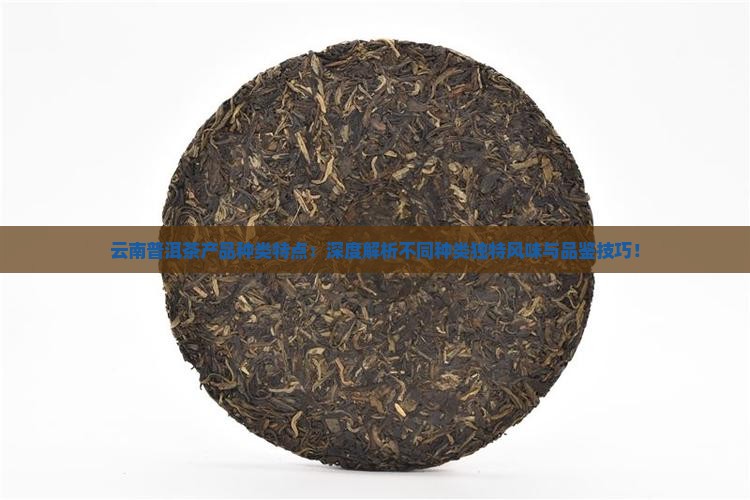云南普洱茶产品种类特点