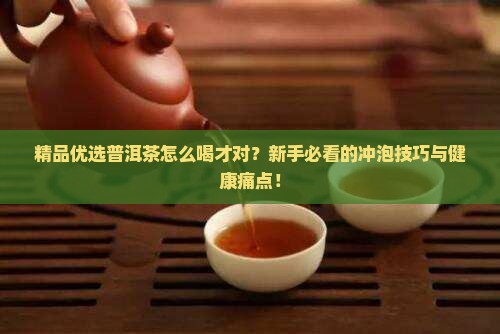 精品优选普洱茶怎么样喝