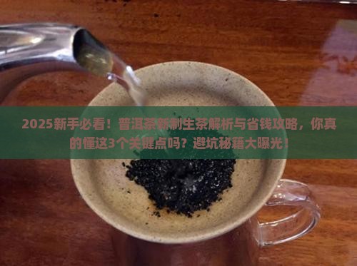 普洱茶新制生茶