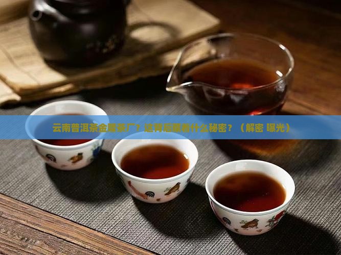 云南普洱茶金隆茶厂