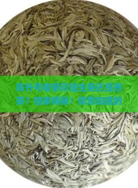 陈升号老茶印是生茶还是熟茶