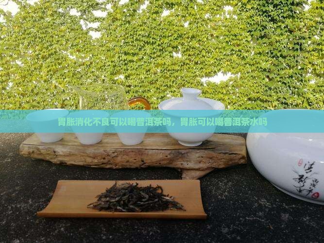 胃胀消化不良可以喝普洱茶