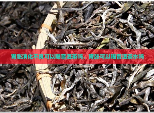 胃胀消化不良可以喝普洱茶