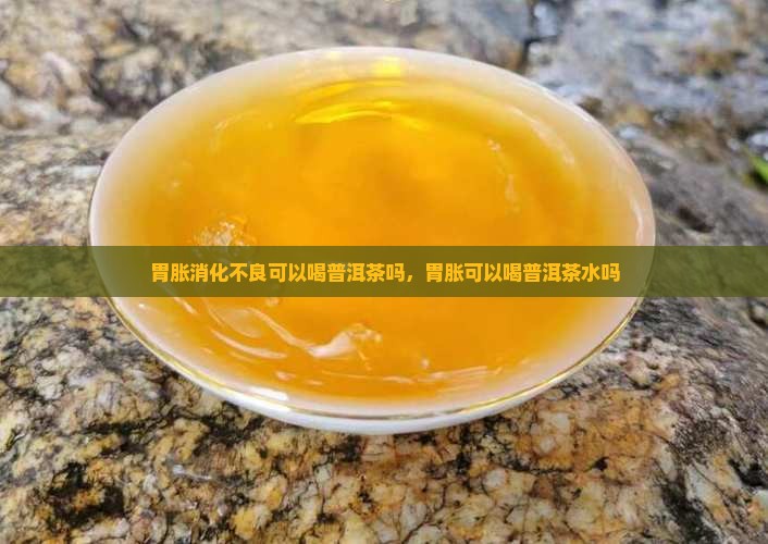 胃胀消化不良可以喝普洱茶